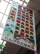DSC05674