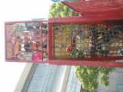 DSCF1048