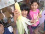 DSCF1675