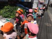 DSC07060