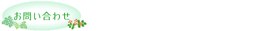 ₢킹
